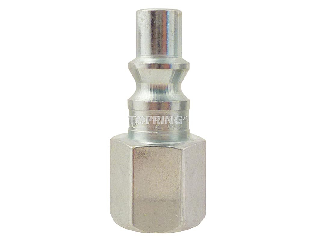 Plug (ARO 210) 1/4(F)NPT